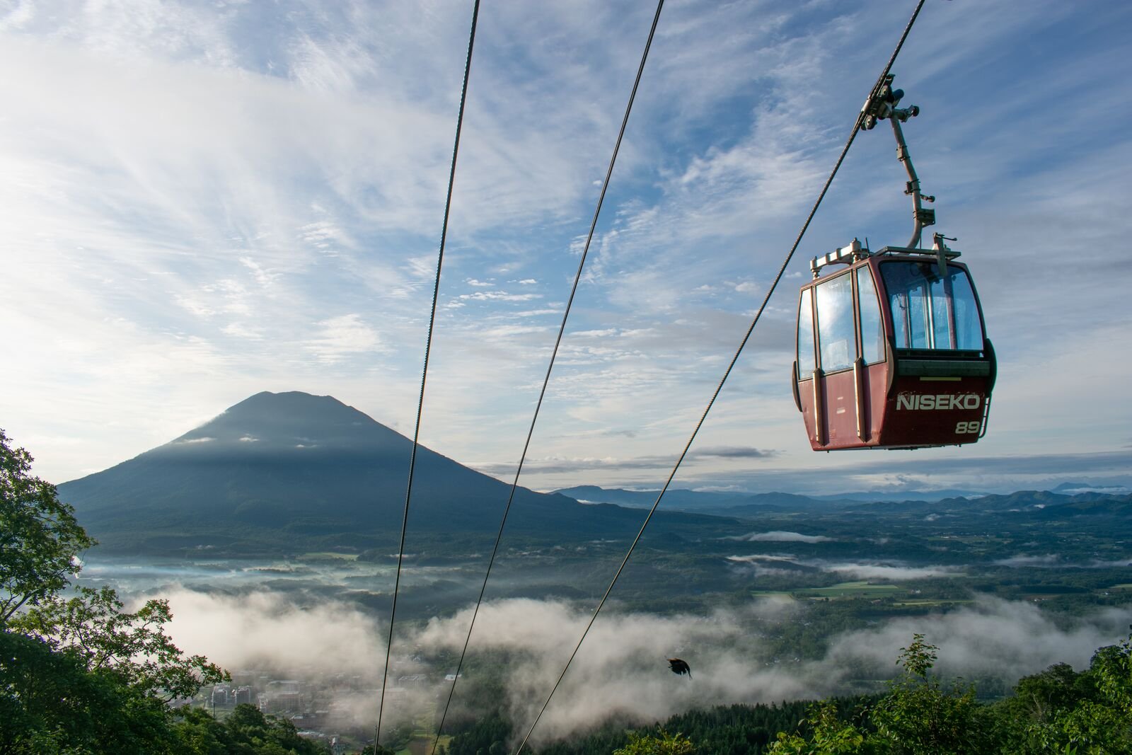 ⛷️ 니세코 안누푸리 국제 스키장 이미지 6